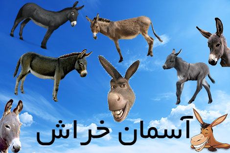 جدیدترین پیامک های طنز، اس ام اس سرکاری، جوک باحال و استاتوس فانی،  جک های طنز و اس ام اس سرکاری و استاتوس خنده دار