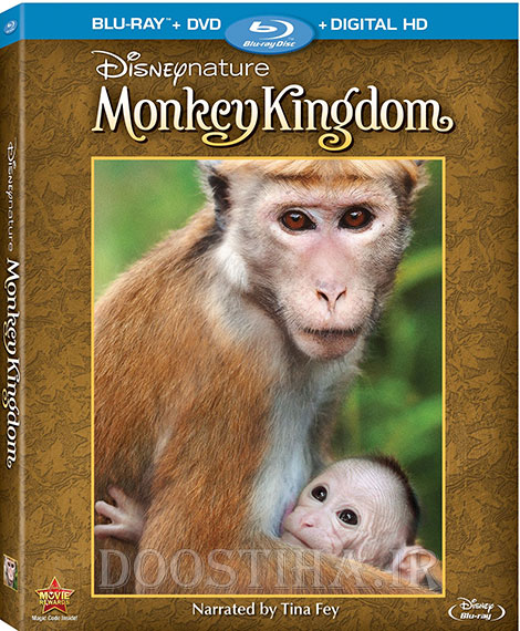 دانلود مستند پادشاهی میمون Monkey Kingdom 2015 دانلود مستند پادشاهی میمون Monkey Kingdom 2015