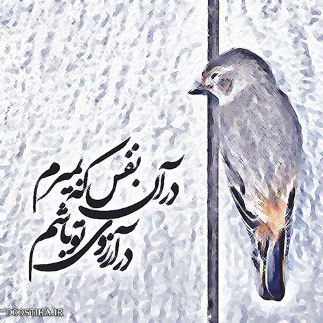 عکس نوشته های الهام بخش, متون تاثیرگذار, اشعار دلنشین, نقل قول های جذاب, دیالوگ های آموزنده, جملات زیبا و ماندگار