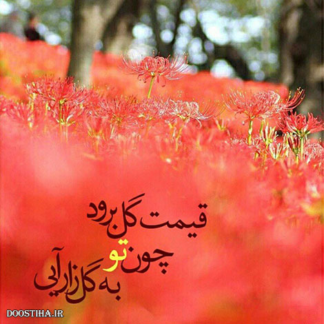 عکس نوشته های الهام بخش, متون تاثیرگذار, اشعار دلنشین, نقل قول های جذاب, دیالوگ های آموزنده, جملات زیبا و ماندگار
