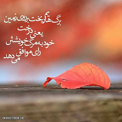 عکس نوشته های الهام بخش, متون تاثیرگذار, اشعار دلنشین, نقل قول های جذاب, دیالوگ های آموزنده, جملات زیبا و ماندگار