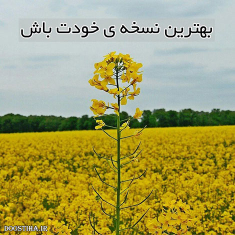 عکس نوشته های الهام بخش, متون تاثیرگذار, اشعار دلنشین, نقل قول های جذاب, دیالوگ های آموزنده, جملات زیبا و ماندگار
