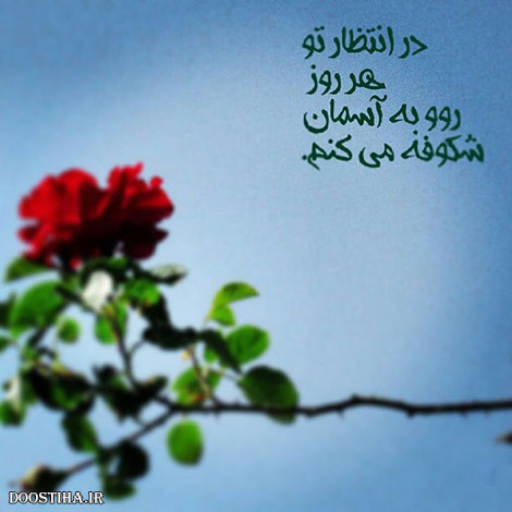 عکس نوشته های الهام بخش, متون تاثیرگذار, اشعار دلنشین, نقل قول های جذاب, دیالوگ های آموزنده, جملات زیبا و ماندگار