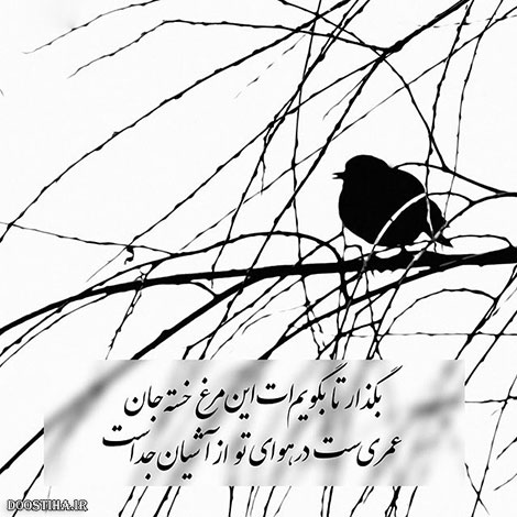 عکس نوشته های الهام بخش, متون تاثیرگذار, اشعار دلنشین, نقل قول های جذاب, دیالوگ های آموزنده, جملات زیبا و ماندگار