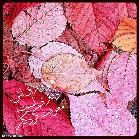 عکس نوشته های الهام بخش, متون تاثیرگذار, اشعار دلنشین, نقل قول های جذاب, دیالوگ های آموزنده, جملات زیبا و ماندگار