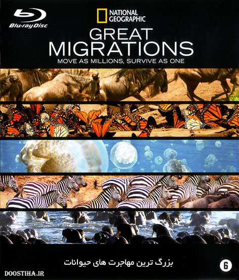 دانلود مستند مهاجرت های بزرگ Great Migrations 2010 National Geographic Great Migrations 2010