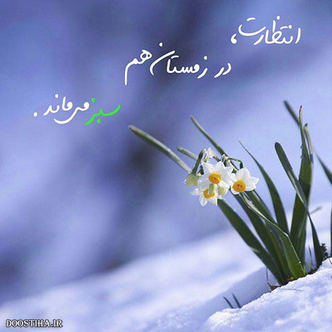 دیالوگ های ماندگار, نقل قول های بزرگان, جملات آموزنده, متون تاثیرگذار