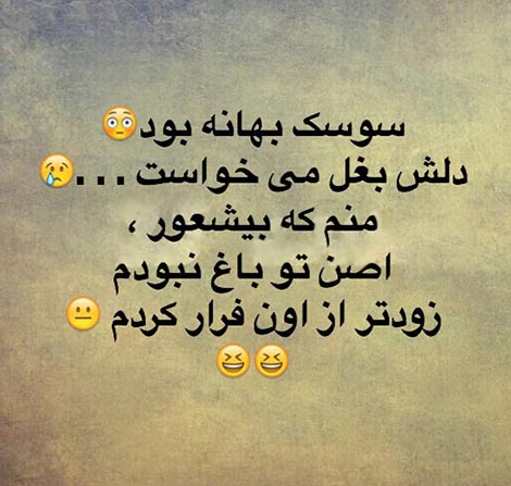 جوک و اس ام اس سرکاری و خنده دار شبکه های اجتماعی 15 مرداد 1394 اس ام اس جدید، لطیفه بانمک، جوک باحال، پیامک سرکاری و استاتوس فانی