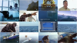 دانلود مستند Shark Week - Monster Mako 2015 Shark Week - Monster Mako 2015
