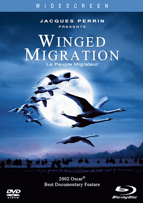 دانلود مستند مهاجرت پرندگان Winged Migration 2001 دانلود مستند مهاجرت پرندگان Winged Migration 2001