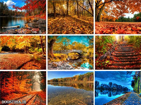 دانلود والپیپرهای پاییز Beautiful Autumn HD Wallpaper 50 Beautiful Autumn HD Wallpapers Set