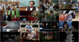 دانلود دوبله فارسی فیلم فلابر Flubber 1997 دانلود دوبله فارسی فیلم فلابر Flubber 1997
