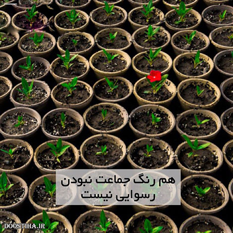نقل های های زیبا, دیالوگ های ماندگار, جملات آموزنده, متون احساسی, گل واژه های الهام بخش