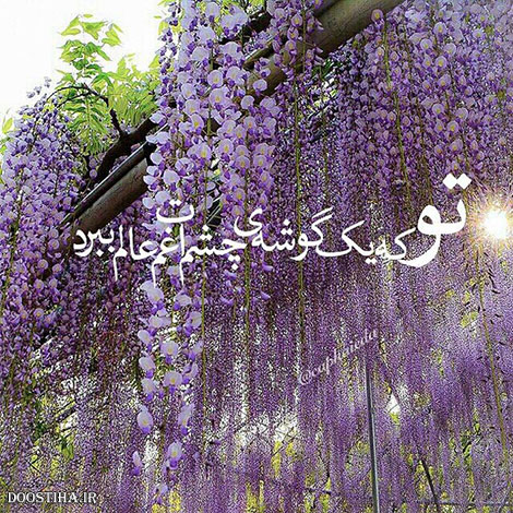 نقل قول های ماندگار, دیالوگ های زیبا, عکس نوشته های عاشقانه, جملات الهام بخش