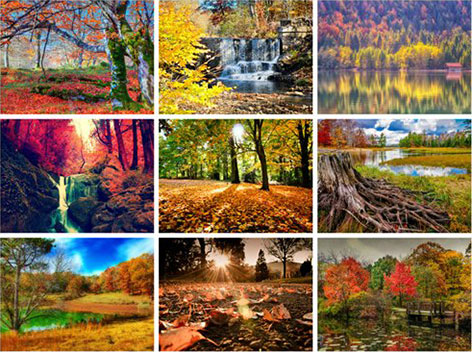 Beautiful Autumn HD Wallpapers