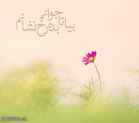جملات زیبا,گل واژه های آموزنده,پیامکهای انرژی بخش,متون آرامش بخش,دل نوشته های عاشقانه,نقل قول های ماندگار,دیالوگ های احساسی,سخنان دلنشین از بزرگان,اس ام اس جالب