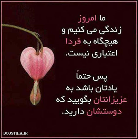 جملات زیبا,گل واژه های آموزنده,پیامکهای انرژی بخش,متون آرامش بخش,دل نوشته های عاشقانه,نقل قول های ماندگار,دیالوگ های احساسی,سخنان دلنشین از بزرگان,اس ام اس جالب