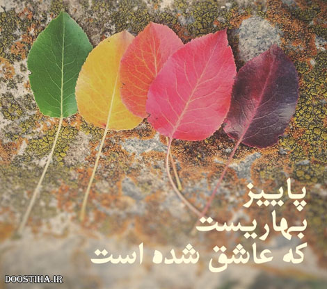 جملات زیبا,گل واژه های آموزنده,پیامکهای انرژی بخش,متون آرامش بخش,دل نوشته های عاشقانه,نقل قول های ماندگار,دیالوگ های احساسی,سخنان دلنشین از بزرگان,اس ام اس جالب