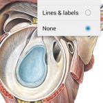 Sobotta Anatomy Atlas
