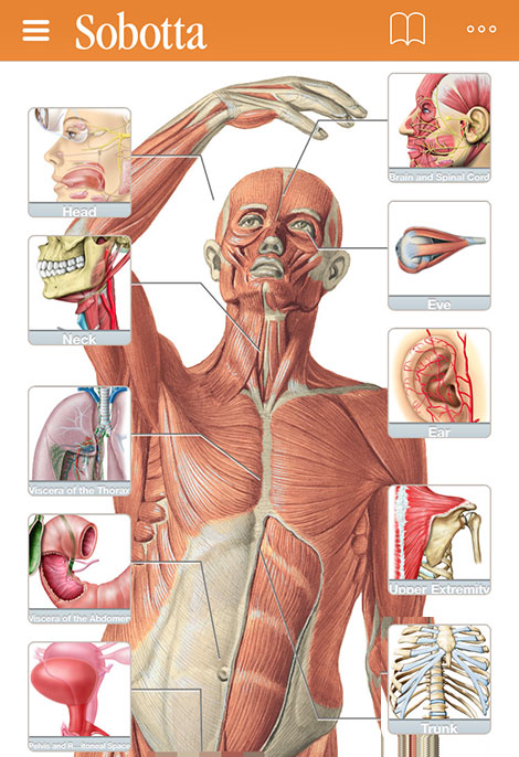 دانلود نرم افزار اطلس آناتومی Sobotta Anatomy Atlas 2.0.4 دانلود نرم افزار اطلس آناتومی بدن Sobotta Anatomy Atlas