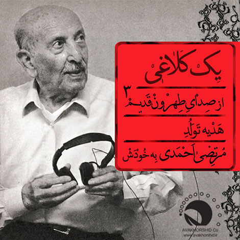 دانلود آهنگ جدید مرتضی احمدی به نام یک کلاغی