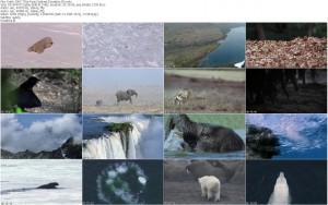 دانلود مستند زمین با دوبله فارسی Earth 2007 دانلود دوبله فارسی مستند زمین Earth 2007