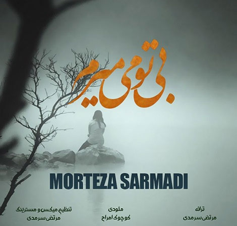 دانلود آهنگ جدید مرتضی سرمدی به نام بی تو می&zwnj;میرم
