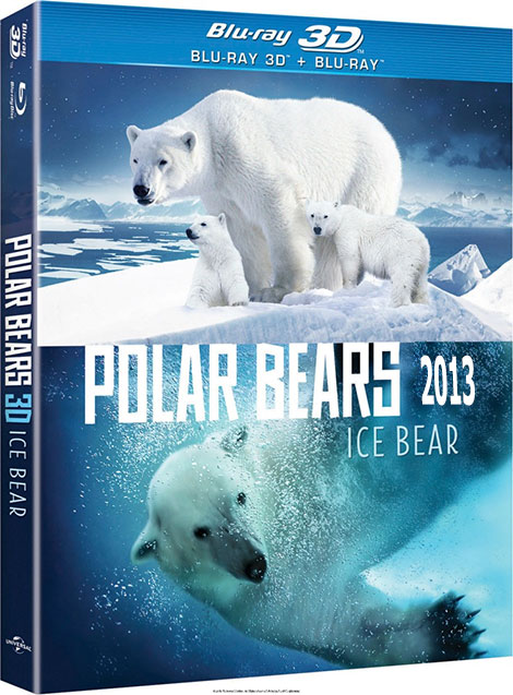 دانلود مستند خرس های قطبی Polar Bears: Ice Bear 2013 دانلود مستند خرس های قطبی Polar Bears: Ice Bear 2013