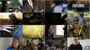 دانلود مستند Explorer: Call of the Wild 2015 دانلود مستند National Geographic Explorer Call of the Wild HDTV