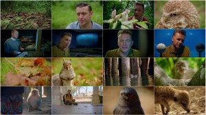 دانلود مستند World's Sneakiest Animals 2016 World's Sneakiest Animals 2016 - The Hunger Game