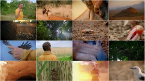 دانلود مستند World's Sneakiest Animals 2016 World's Sneakiest Animals 2016 - Sex Lies And Dirty Tricks