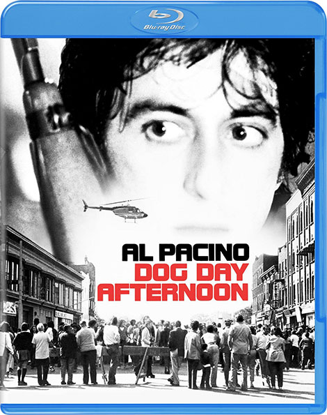 دانلود دوبله فارسی فیلم بعد از ظهر سگی Dog Day Afternoon 1975