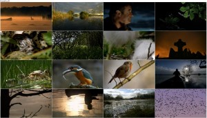 دانلود دوبله فارسی مستند Ireland's Wild River 2014 دانلود دوبله فارسی مستند رودخانه وحشی ایرلند