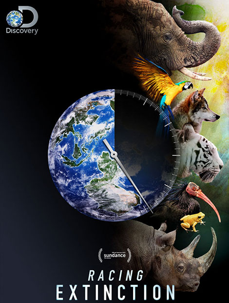 دانلود مستند مسابقه انقراض Racing Extinction 2015