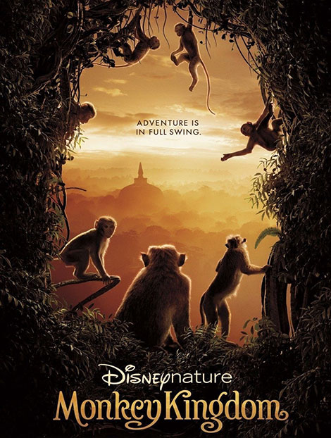 دانلود دوبله فارسی مستند قلمرو میمون ها Monkey Kingdom 2015