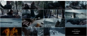 دانلود فیلم از گور برخاسته The Revenant 2015 دانلود فیلم بازگشته با دوبله فارسی The Revenant 2015