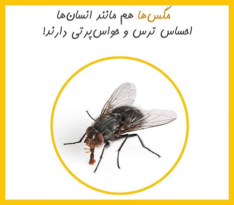 دانستنی های جالب, آیا میدانید, آیا می دانستید, نکته های علمی, آموزه های علم و فناوری, حقایق خواندنی, نکات تصویری, عکس های آموزشی, مقالات جذاب, جدیدترین دانستنیها