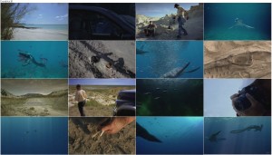 دانلود مستند Sea Monsters: A Prehistoric Adventure 2007 دانلود دوبله فارسی مستند Sea Monsters A Prehistoric Adventure 2007