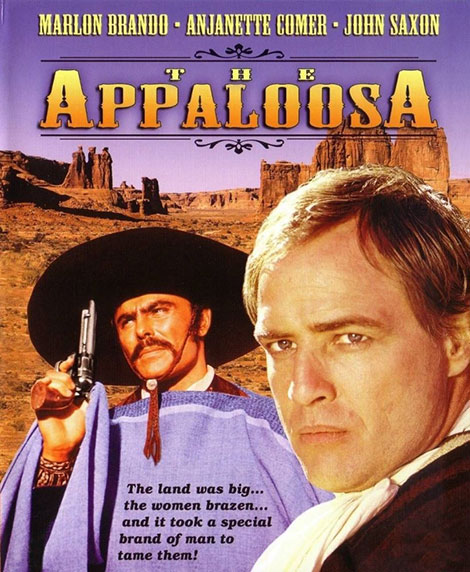 دانلود دوبله فارسی فیلم آپالوزا The Appaloosa 1966 دانلود دوبله فارسی فیلم آپالوزا The Appaloosa 1966