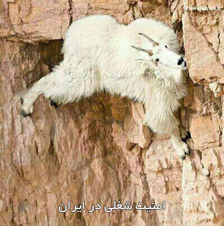 جوک های جدید و اس ام اس باحال تلگرام 30 خرداد 1395 اس ام اس خنده دار, جوک جدید, پیامک طنز, شوخی باحال, عکس بامزه, استاتوس فانی, جملات سرکاری, جوکهای جدید تلگرام, جک خفن و داغ