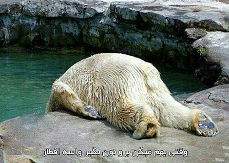 جوک های جدید و اس ام اس باحال تلگرام 30 خرداد 1395 اس ام اس خنده دار, جوک جدید, پیامک طنز, شوخی باحال, عکس بامزه, استاتوس فانی, جملات سرکاری, جوکهای جدید تلگرام, جک خفن و داغ