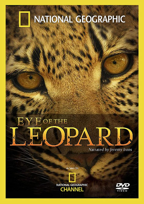 دانلود مستند چشم پلنگ Eye of the Leopard 2006 دانلود مستند چشم پلنگ Eye of the Leopard 2006