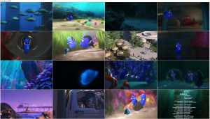 دانلود انیمیشن در جستجو دوری Finding Dory 2016 دانلود انیمیشن در جستجو دوری Finding Dory 2016