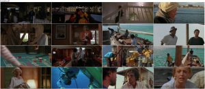 دانلود فیلم Jaws: The Revenge 1987 دانلود فیلم آرواره ها 4 انتقام با دوبله فارسی