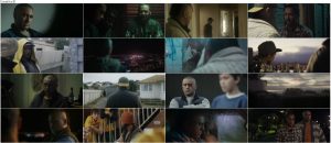 دانلود دوبله فارسی فیلم اسب سیاه The Dark Horse 2014 دانلود فیلم اسب سیاه با دوبله فارسی