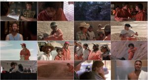 دانلود دوبله فارسی فیلم حفره ها Holes 2003 دانلود فیلم حفره ها با دوبله فارسی Holes 2003