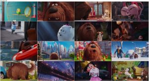 دانلود انیمیشن The Secret Life of Pets 2016 دانلود انیمیشن The Secret Life of Pets 2016