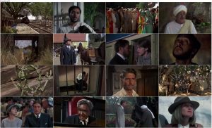 دانلود فیلم گذرگاهی به هند A Passage to India 1984 دانلود فیلم گذرگاهی به هند A Passage To India 1984