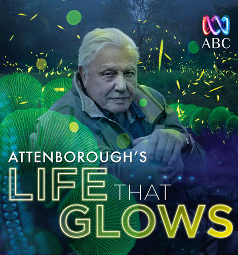 دانلود مستند Attenborough's Life That Glows 2016 دانلود مستند Attenborough's Life That Glows 2016