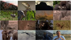 دانلود مستند آفریقا BBC Earth: Africa 2013 BBC Africa 2013 E02 Savana